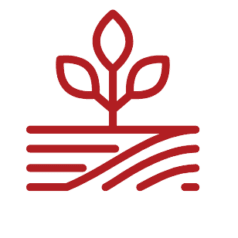 Red icon of a plant sprouting out of tilled soil, representing the concept of agriculture.
