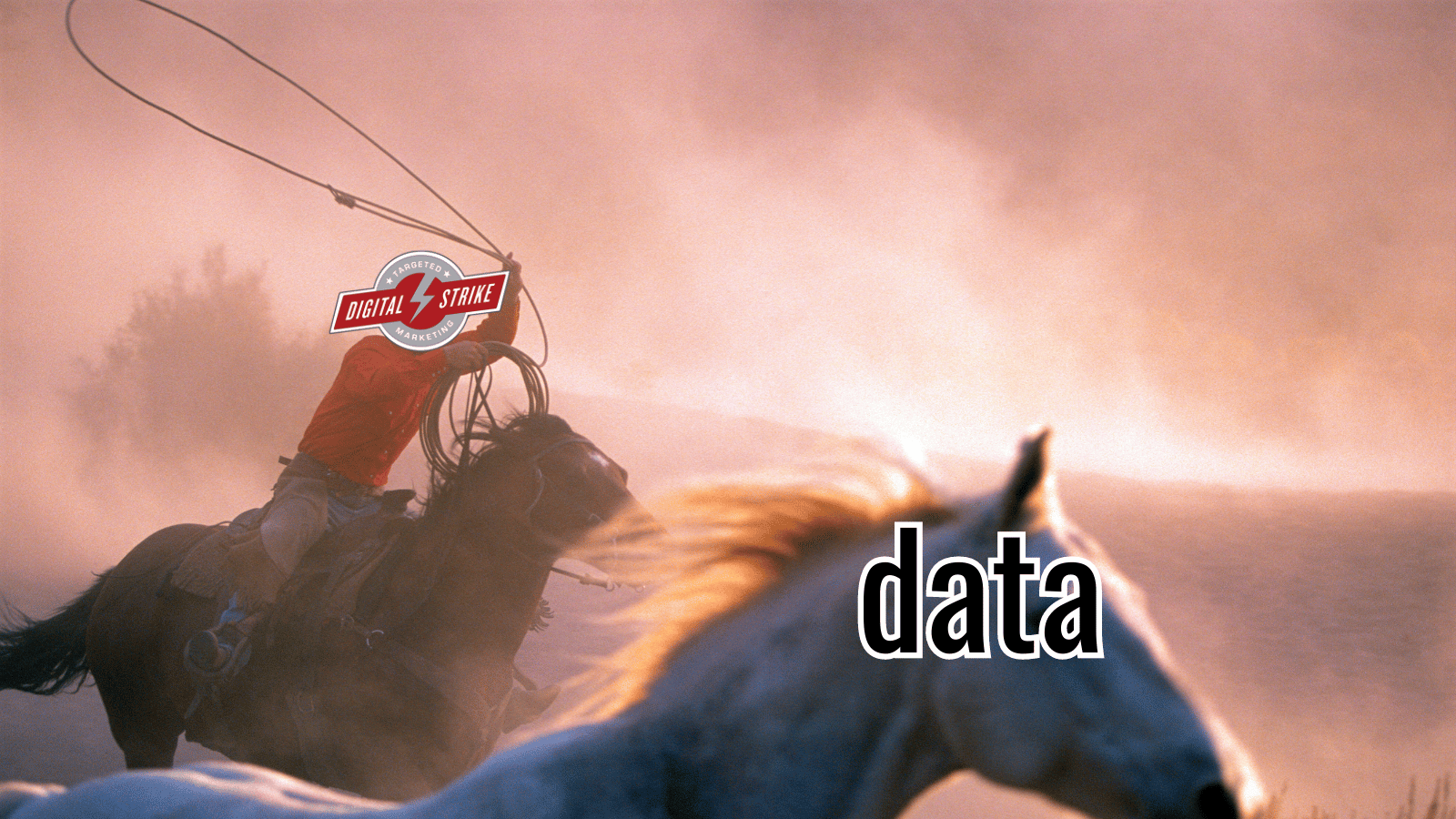 A cowboy with the Digital Strike - Targeted Marketing logo overtop his face lassos a wild horse. The word "data" overlays the wild horse's face. Represents the concept of pulling data from various sources.