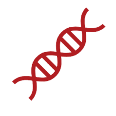 Red clipart of a DNA double helix, representing the concept of genomics and medical research.