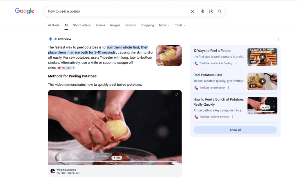 image of videos appearing in Ai Overviews